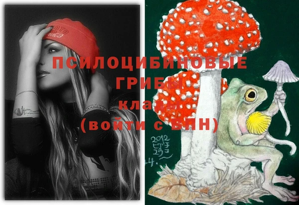 прущая мука Нея